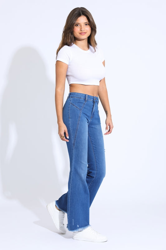 Sophia Fray Hem High Rise Seamed Flare Jeans - Blue Black